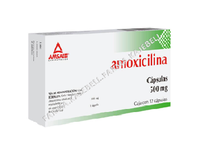 AMOXICILINA 500 Mg. C/12 Capsulas